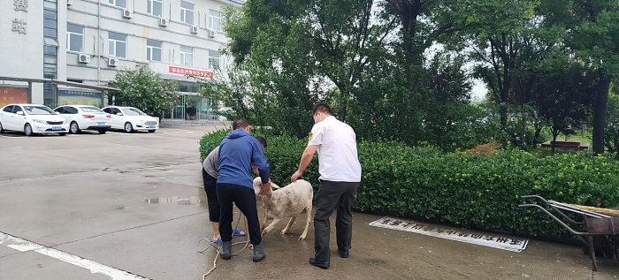 微信圖片_202207071542401