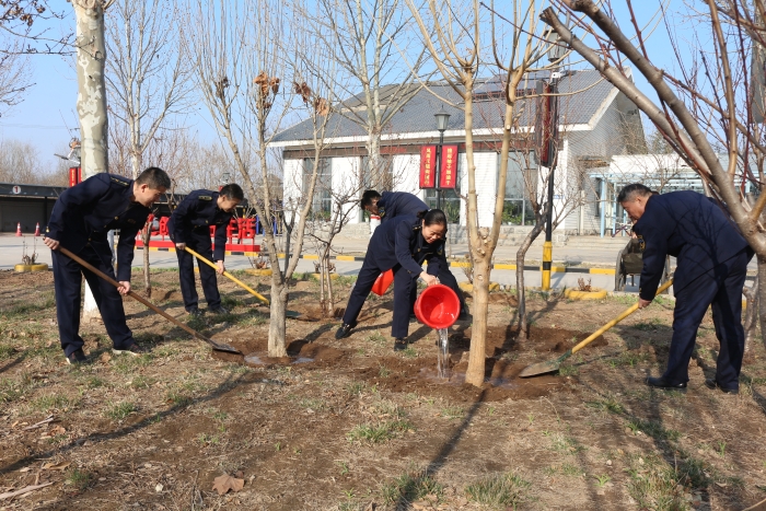 2024-3-12鄴城收費站：站區綠植重規劃 春季移植美環境，作者：張晶玉