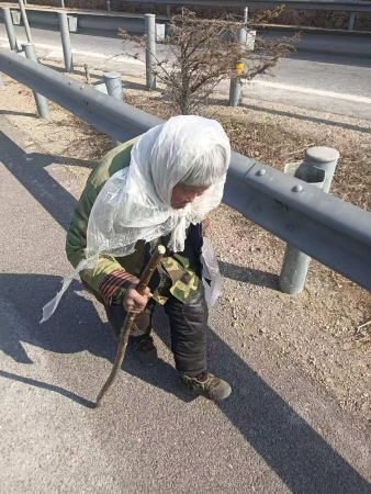 姚樞保